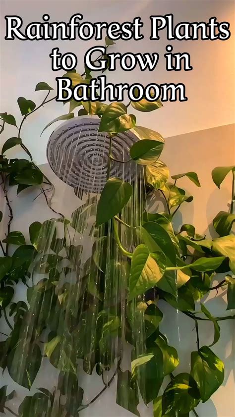 Bathroom Decor ideas 💡 | Комнатные травы, Идеи посадки растений, Растения
