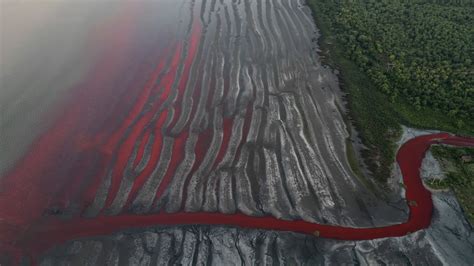 ‘It looks like a stream of blood.’ A river near Buenos Aires turns red ...