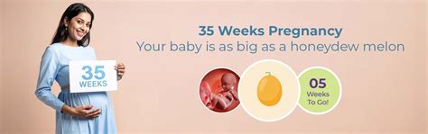 35 Weeks Pregnant: Is It Safe For The Baby To Arrive?