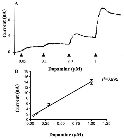 A Role for Adenosine A1 Receptors in GABA and NMDA-Receptor Mediated ...