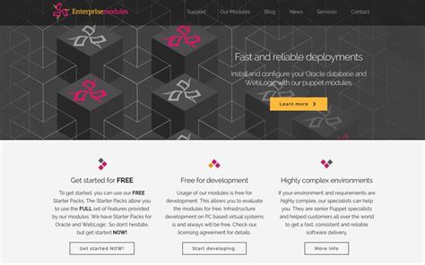 Oracle Modules 的图像结果