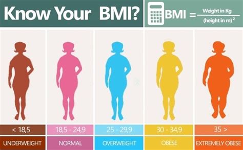 Body Mass Index Bmi Chart Libs: ภาพประกอบสต็อก 1925017139 | Shutterstock