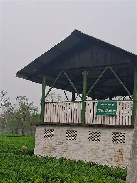 MANOHARI THE TEA RETREAT (Nogaghuli 1/177 Orr) - Specialty Inn Reviews ...