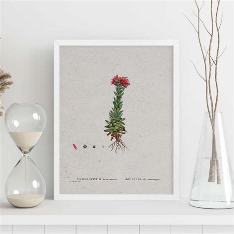 Fiche Naturelle - 123. Affiches Avec Des Illustrations En Aquarelle De ...