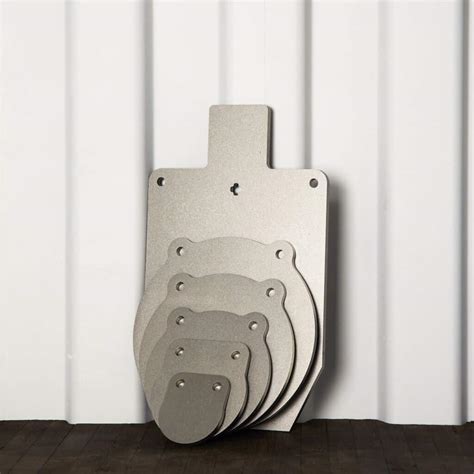 Image result for Steel Target Setups