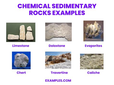 8+ Sedimentary Rocks Examples