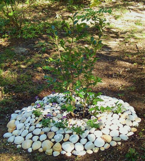 Image result for Landscaping Timber around Tree