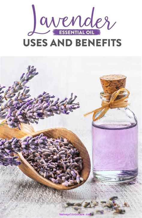 Lavender Oil Uses