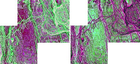 Image result for Geophysical Data Processing