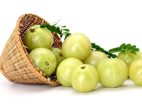 6 Ways to Use Amla as Medicine - lifeberrys.com