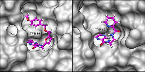Structure-Based Design of Ricin Inhibitors