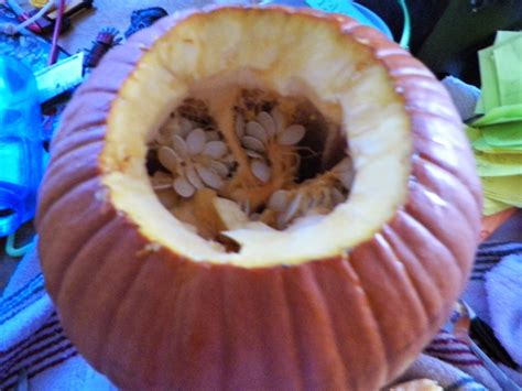 Image result for Minecraft Pumpkin Tutorial