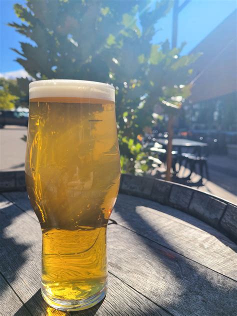 CGX Prime - Fresh Hop IPA - Nine Mile Brewing