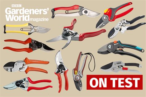 Raise yourself new Year librarian best garden hand pruners Immigration ...