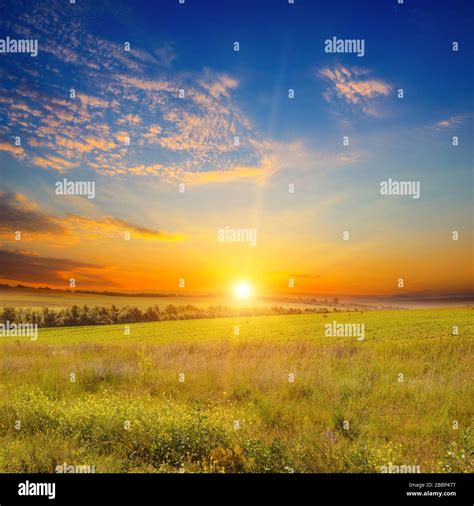 Nature Field 的图像结果