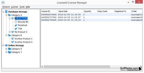 License Manager Windows License Manager Service 的图像结果
