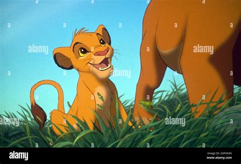 Image result for Simba Voice Actor
