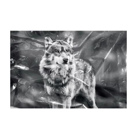 Image result for Wolves Cancion Cover