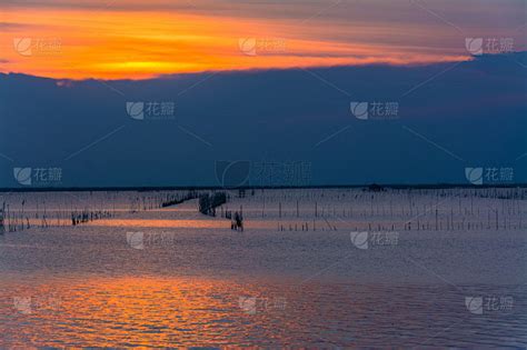 夕阳 的图像结果