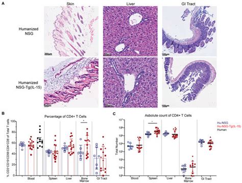 Viruses | Special Issue : In Vivo Mouse Models of Human Viral Infections