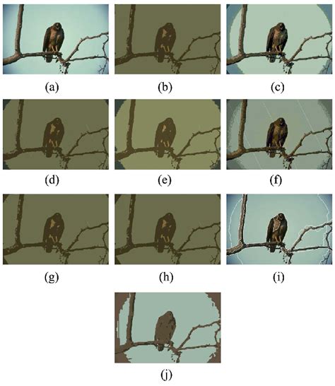 The Berkley Algorithm 的图像结果