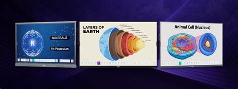 Interactive Displays | That Bring Ideas to Life | Logic