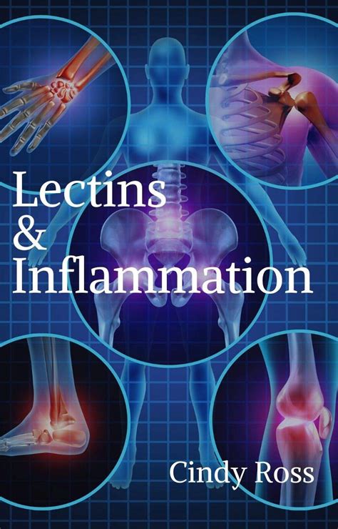 Lectins & Inflammation eBook : Ross, Cindy: Amazon.in: Kindle Store