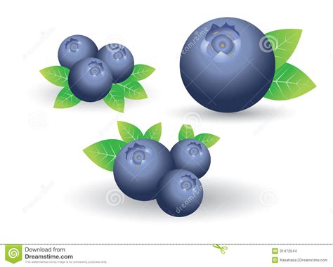 Berry blue clipart 20 free Cliparts | Download images on Clipground 2024