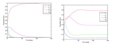 Image result for Dynamic Equilibrium Population Graph