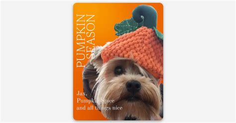 Pumpkin Season ( stickers ) by Jax Abreu - The Secret Life of Jax ...