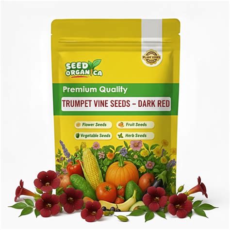 Trumpet Vine Seeds – Dark Red