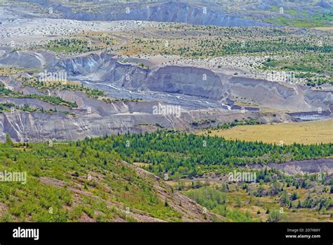 Pyroclastic Flow MT St. Helens 的图像结果