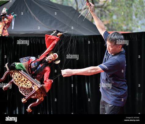 Image result for Puppet String Dance