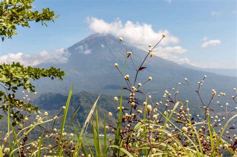 Lahangan Sweet, Bali 2026 - How to Reach, Popular Ways to Hike, & More!