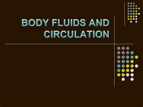 Circulation Class 12 的图像结果