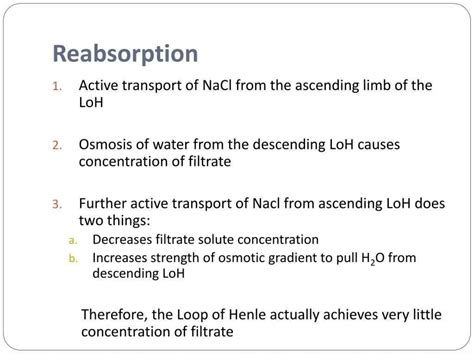 Urine-formation-ppt.pptx A powerpoint on the mechanism of urine production | PPTX