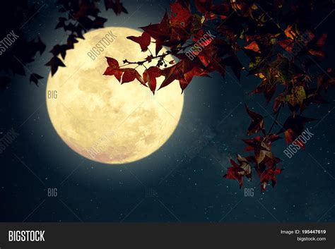 Image result for Beautiful Fall Moon