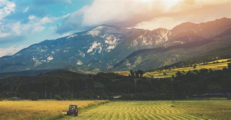 Farmland 的图像结果