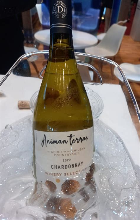 Mumbai gears up for the biggest wine fest in India