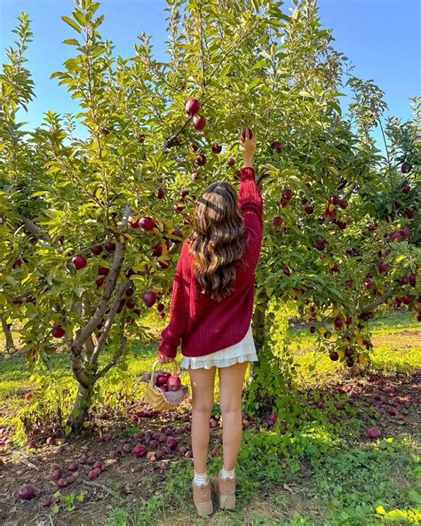 apple picking 🍎🌿🍂 | Fall photoshoot, Apple picking outfit, Autumn aesthetic