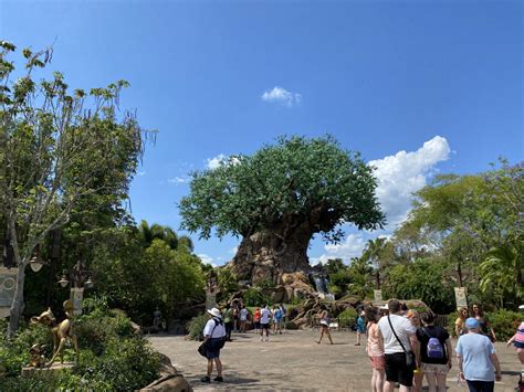 Image result for Memory Maker Disney World Logo