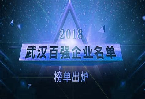 兰丁获评2022年度武汉市人工智能新锐企业 - 兰丁股份