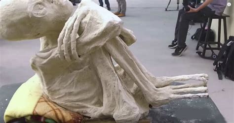 వింత జీవి అస్థికలు, అది గ్రహాంతరవాసా? - three-fingered 'mummified ...