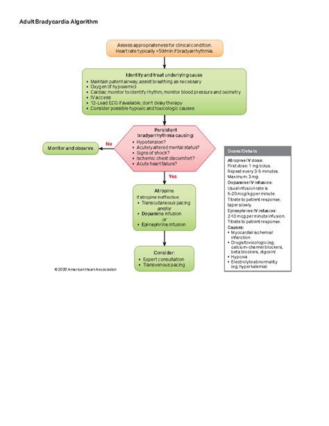 Algorithm ACLS Bradycardia 2006 12 - Yes No Doses/Details Atropine IV ...