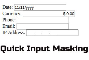 Input Masking JavaScript Code with Harry 的图像结果