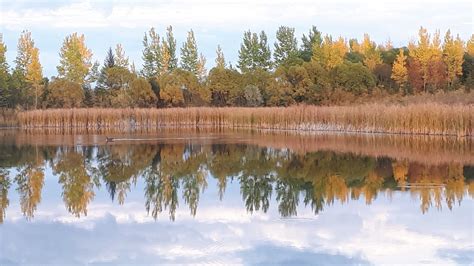 BIRDS HILL PROVINCIAL PARK (2026) All You Need to Know BEFORE You Go ...