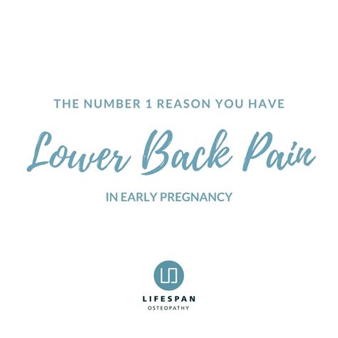 The Number 1 Reason you have Lower Back Pain in Early Pregnancy ...