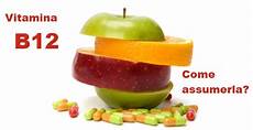 alimenti contengono la vitamina d quali sono alimenti contengono vitamina b12 alimenti contengono la vitamina d quali sono alimenti contengono vitamina b12