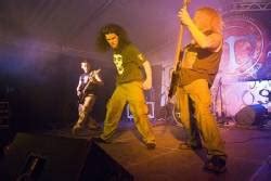 Image result for testor