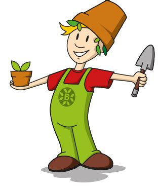 Gemüsepflanzen - Zierpflanzen - Beier-Jungpflanzen